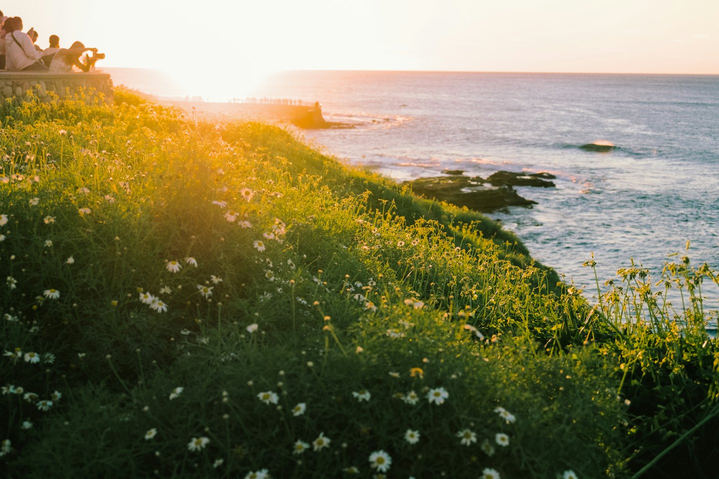 People stand on a coastal hillside overlooking the ocean at sunset.